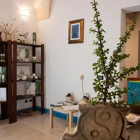 Ambika * レッチェ